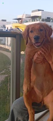 אך ורק למשפחה טובה ועל רמה