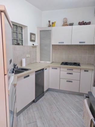 סשא ארגוב 13, המשתלה