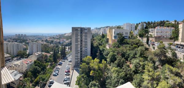 הפרחים 9, רוממה החדשה