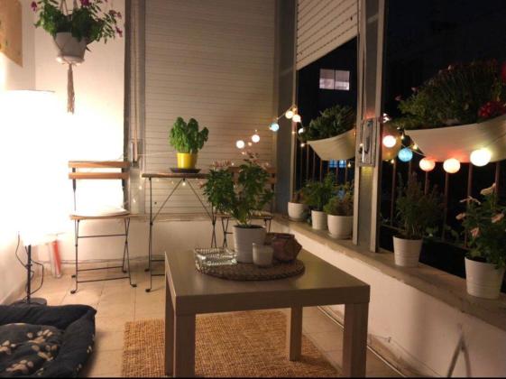 אשתורי הפרחי 24 (הצפון הישן החלק הצפוני)