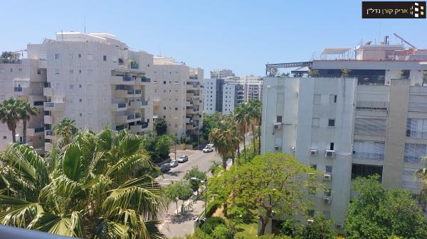 בורלא, תוכנית ל