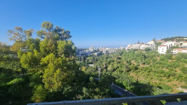 אורן 29, רוממה החדשה