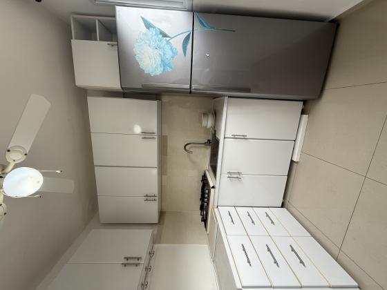 ביאליק, בן גוריון