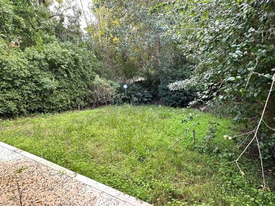 בשכונת תל ברוך