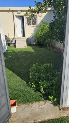 המרגלית 26, הפרחים