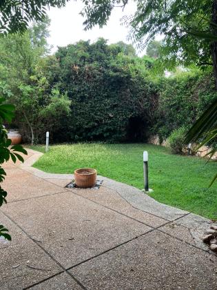 בשכונת דניה