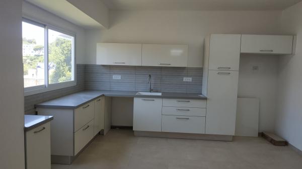 שושנת הכרמל 1, כרמל ותיק