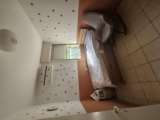 אורן 26, רוממה החדשה