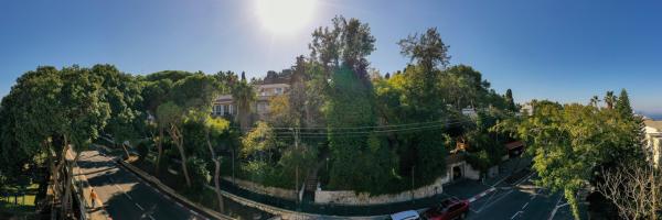 שושנת הכרמל, כרמל מערבי