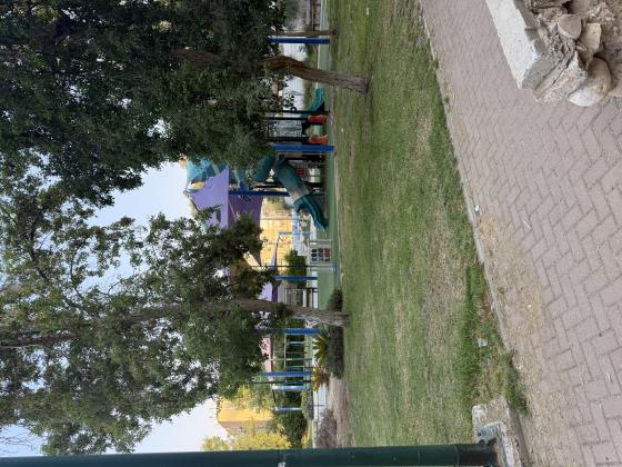 מרבד הקסמים 3, שכונה ה