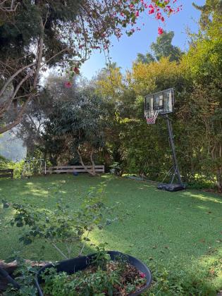 בשכונת אלון