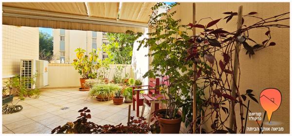 בני ברית, הדר