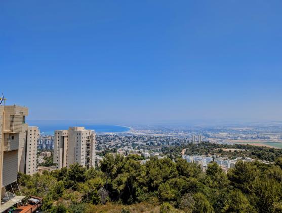 יעקב אורלנד 14, סביוני דניה