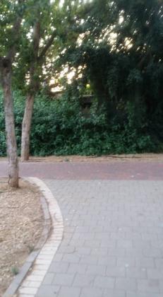 קהילת ורשה, הדר יוסף