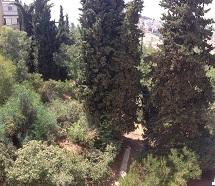 הארזים 12, בית הכרם