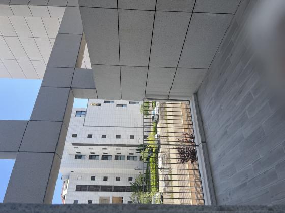 עלי מוהר, נווה זמר