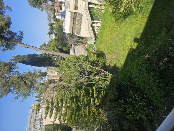 בנאי, בית הכרם