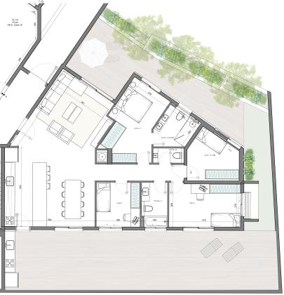 שושנת הכרמל 1, כרמל ותיק