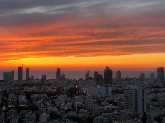 החשמונאים 96, שרונה