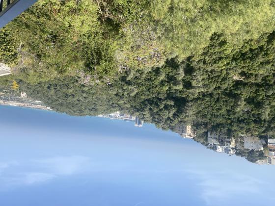 מרגלית, שמבור