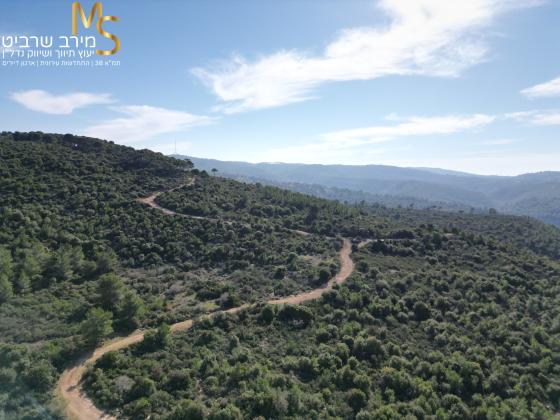 בשכונת דניה