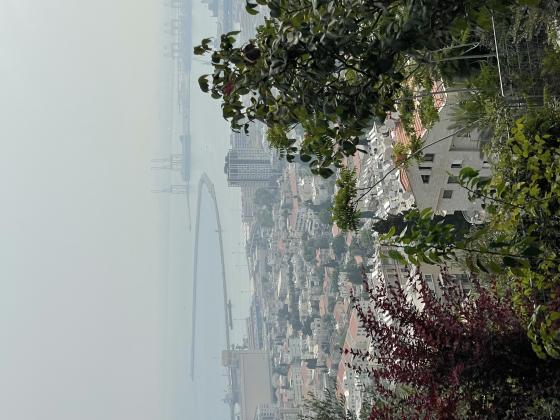 בשכונת כרמל צפוני