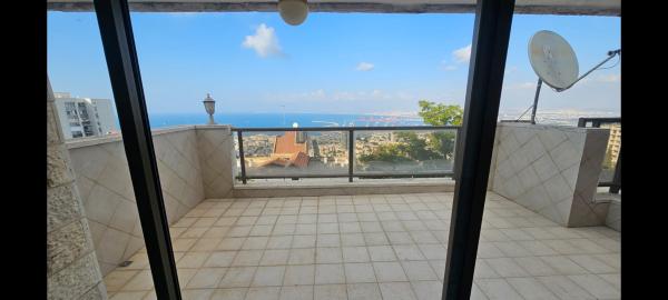 הנריאטה סולד, מרכז הכרמל