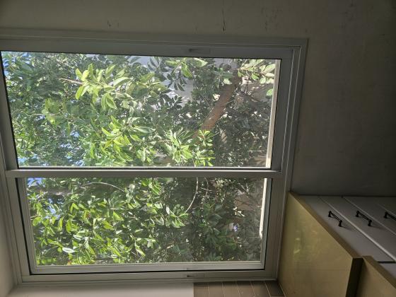 ויצמן 4, בורוכוב