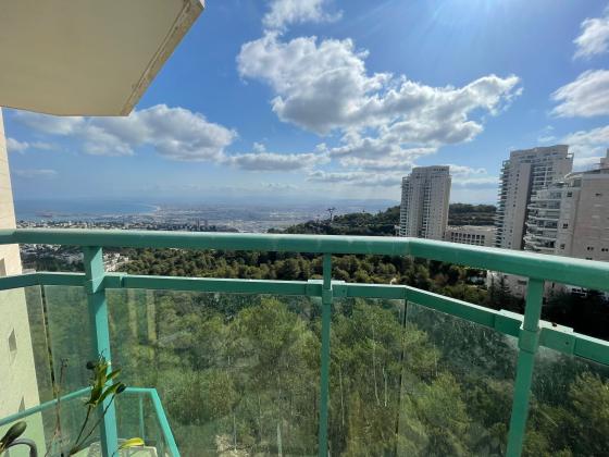 מנדל זינגר, סביוני דניה