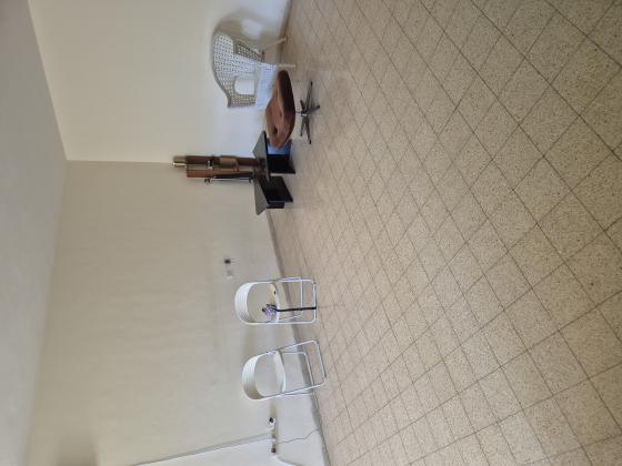 הפרחים 5, רוממה החדשה