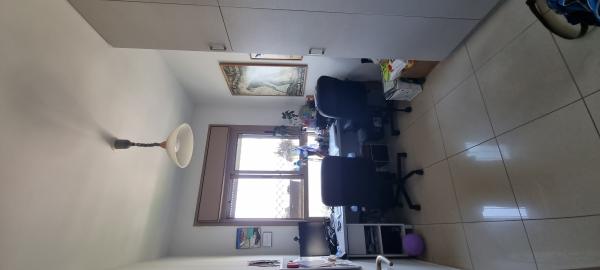 כרמל 13, אחוזת הנשיא