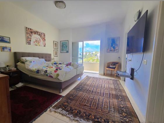 אלכסנדר ינאי 20, כרמליה