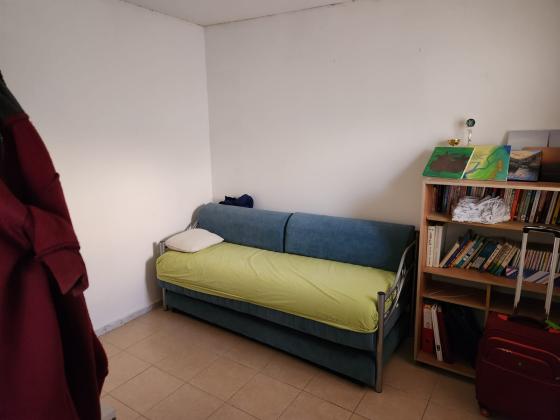 מעגל החצב 388, שקד