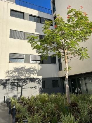 ציהתל"י 46, צהלון ושיכוני חסכון