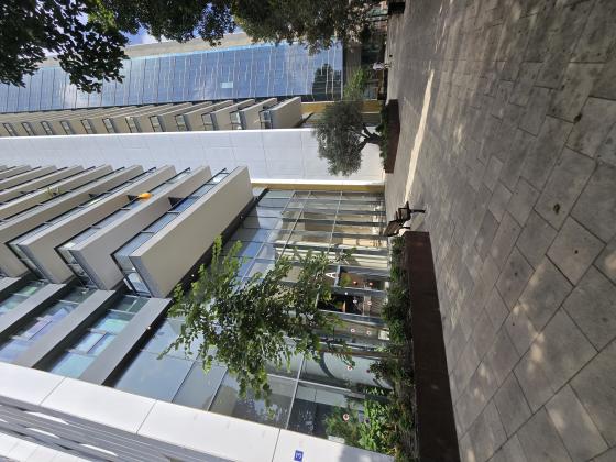 וינגייט 3, יד אליהו