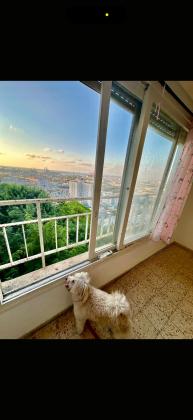 הרב משאש 1, נוה יוסף