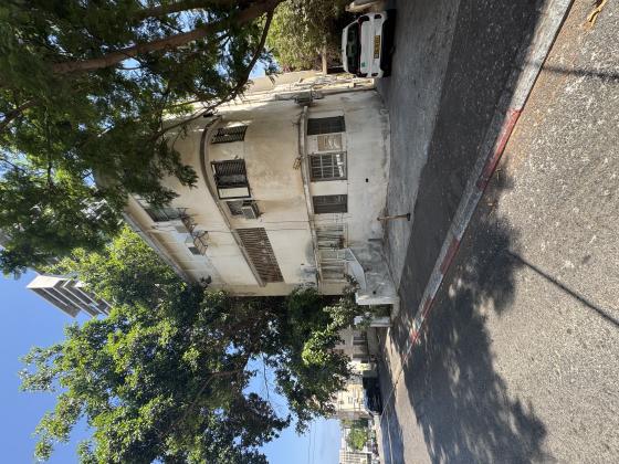 אחד העם, הדר הכרמל