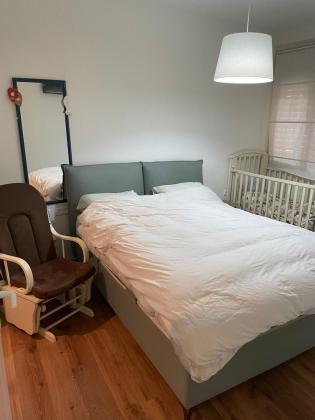 שימקין, רמת בגין