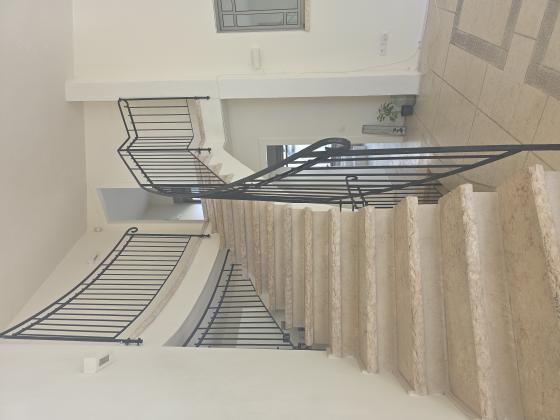 בשכונת דניה