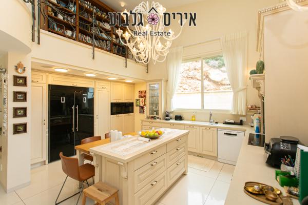 קמיל הויסמנס, דניה