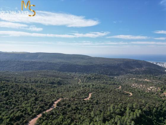 בשכונת דניה