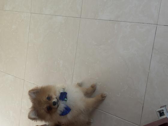 מתאים למשפחה עם ילדים אנשים