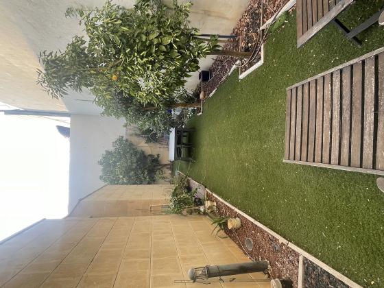 בשכונת דניה