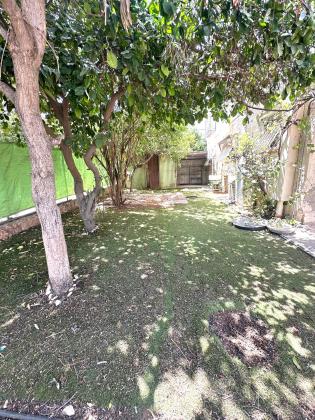 דרך בן גוריון דוד 1