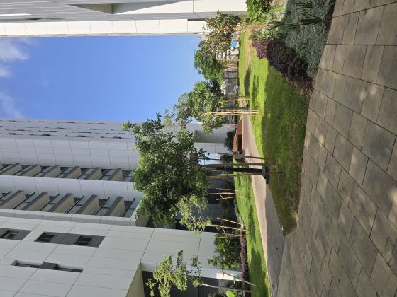 וינגייט 3, יד אליהו