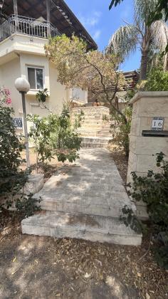 טשרניחובסקי 16, כרמל צרפתי