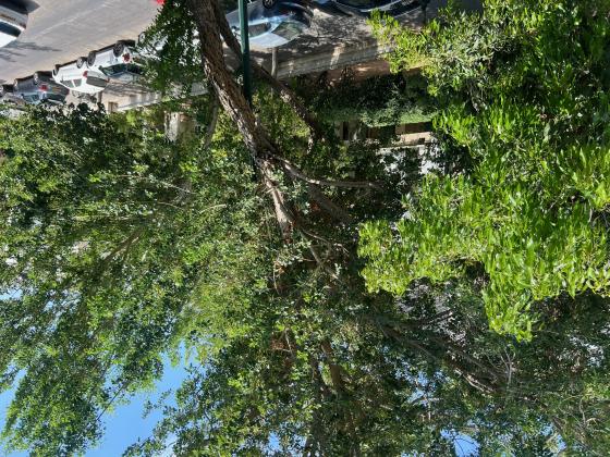 יחזקאל, הצפון הישן החלק הצפוני