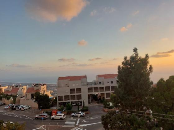 לאה 19, כרמליה