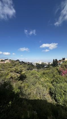 בשכונת שמבור