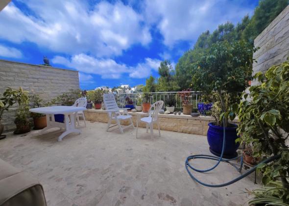 אלכסנדר ינאי 20, כרמליה